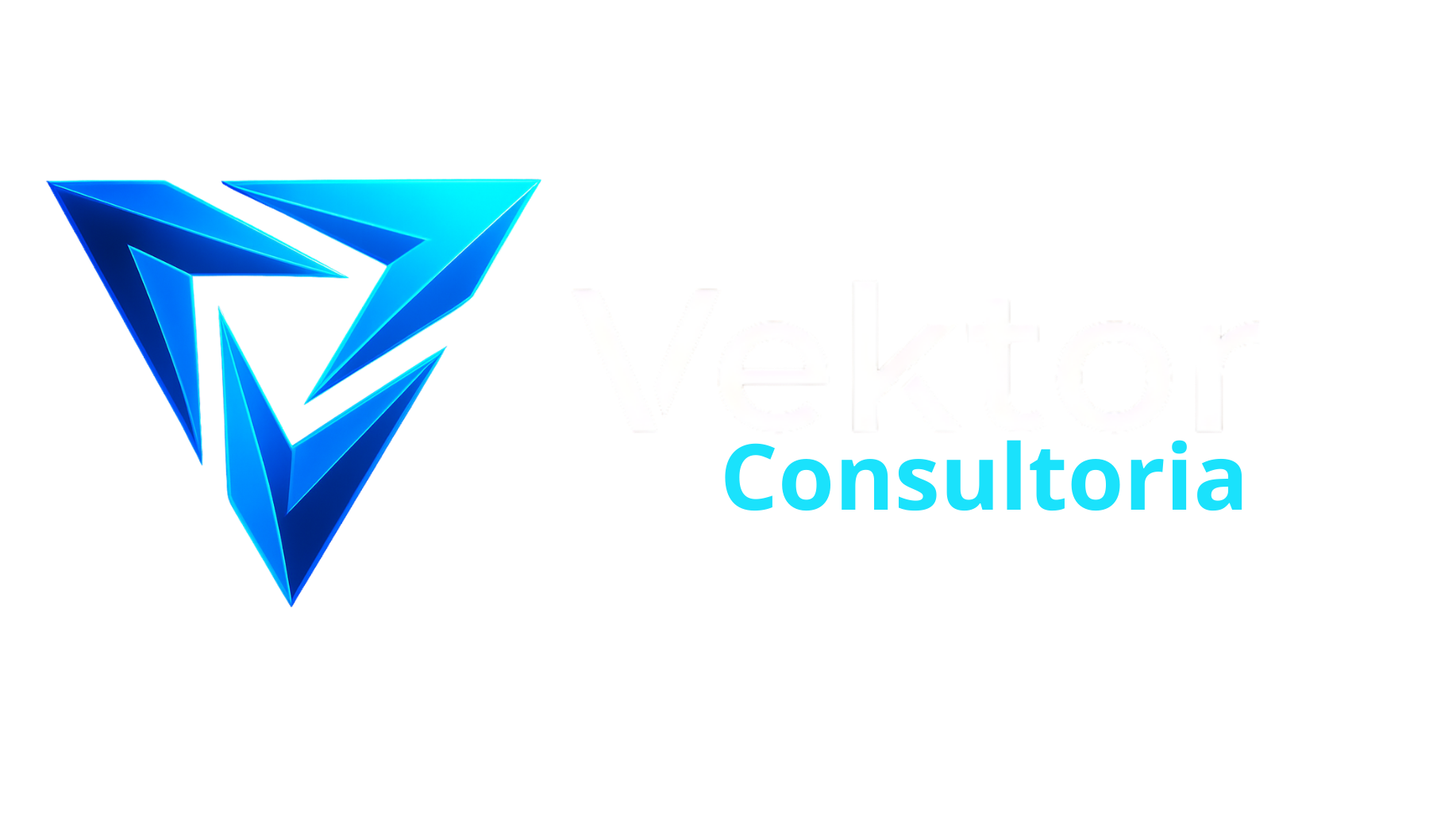 Vektor Consultoria